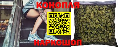 ПСИЛОЦИБИНОВЫЕ ГРИБЫ Пугачёв