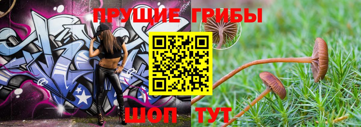 Галлюциногенные грибы Magic Shrooms  Вход с VPN  Усть-Илимск  Псилоцибиновые грибы Psilocybine cubensis 